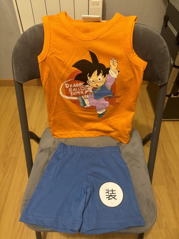 Ensemble Dragon Ball